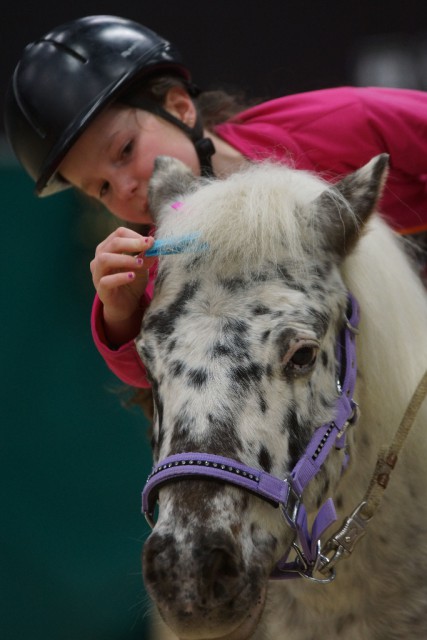 Bei der Mevisto Amadeus Horse Indoors können die jüngsten Gäste nicht nur den Großen im Sattel zusehen, sondern auch selbst einmal aufs Pony steigen. © Salzburg CityGuide