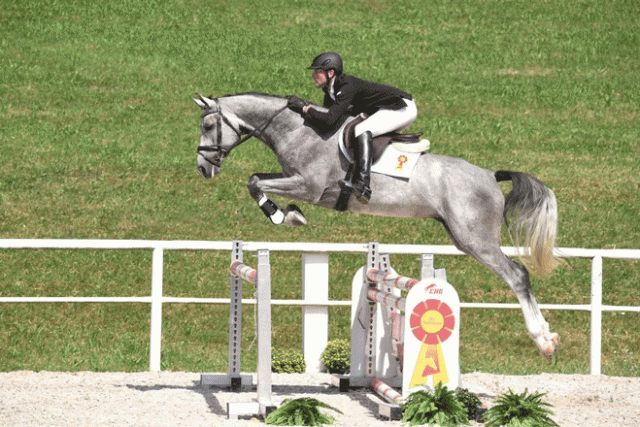 Vierjährig siegreich in einer Springpferdeprüfung: Warino, ein Sohn des Winningmood v.d. Arenberg, der in Marbach zu bewundern sein wird. © Kiki Beelitz