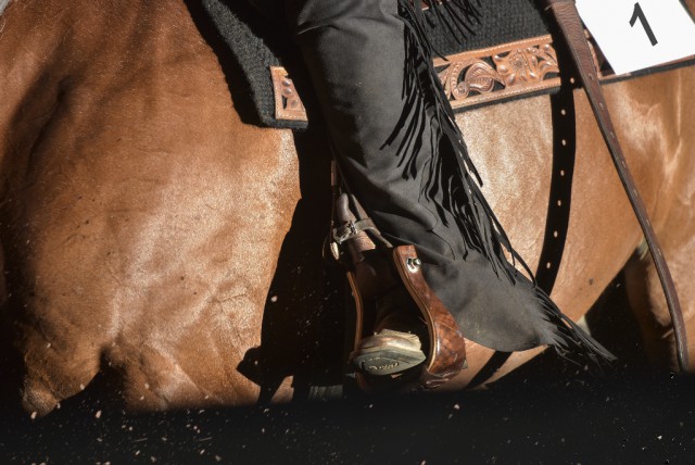 A long-term program for reining in Europe was the intent: uniting the European reining affiliates, better communication and growth of the sport. © Shutterstock / 42beats