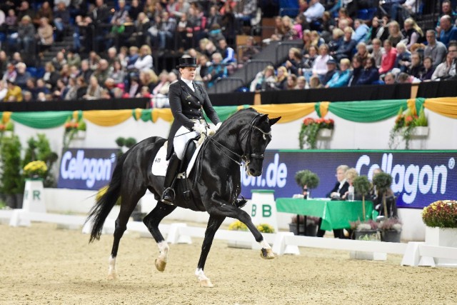 Doppelerfolg für Andrea Timpe in Kiel bei der Baltic Horse Show. Beide gewannen Grand Prix und Grand Prix Kür. © Karl-Heinz Frieler