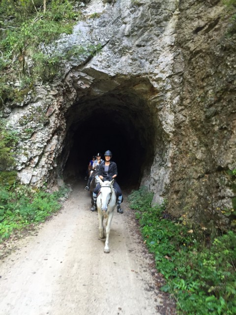 Finstere, feuchte Tunnelketten wie beim Wanderritt in den Kalkalpen hab' ich bei uns in der Steiermark noch nicht entdeckt. © Lisa Affenberger
