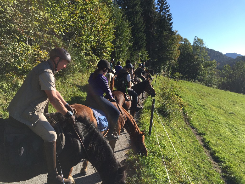 Prinz (Fuchs) und Rio (Dunkelbrauner) machten aus dem Sightseeing-Stop beim Wanderreiten in den Kalkalpen eine kurze Jausenpause. © Lisa Affenberger