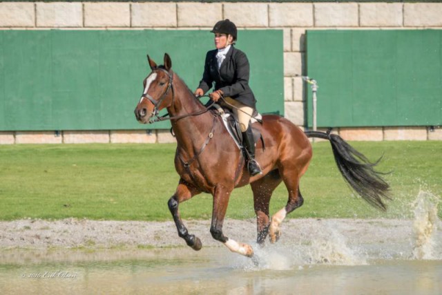 Anita Crouse and Rickie on course during the 2016 TIEC Field Hunter Championships presented by Adequan®. ©ErikOlsenPhotography