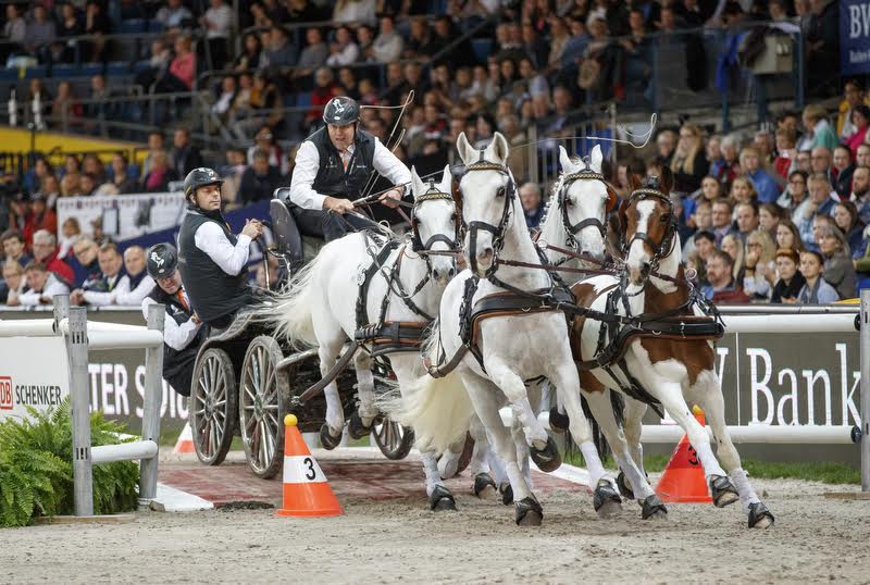 Ijsbrand Chardon (NED) on his way to his first victory since 2007 at the FEI World Cup™ Driving competition in Stuttgart 2016 © FEI / Stefan Lafrentz