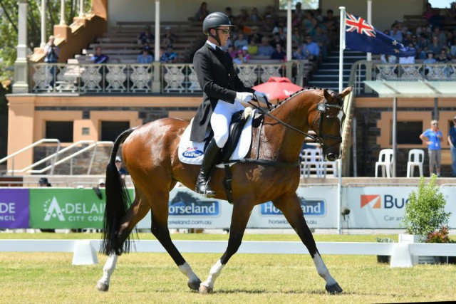  Australia’s Will Enzinger today won the dressage phase of the FEI Classics™ in Adelaide (AUS) with 12-year-old Thoroughbred, Wenlock Aquifer. © Julie Wilson/FEI