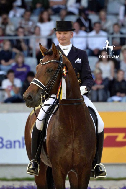 Escolar wird unter dem Sattel von Hubertus Schmidt beim Nürnberger Burg-Pokal Finale wegen einer Verletzung nicht am Start sein. © Tanja Becker