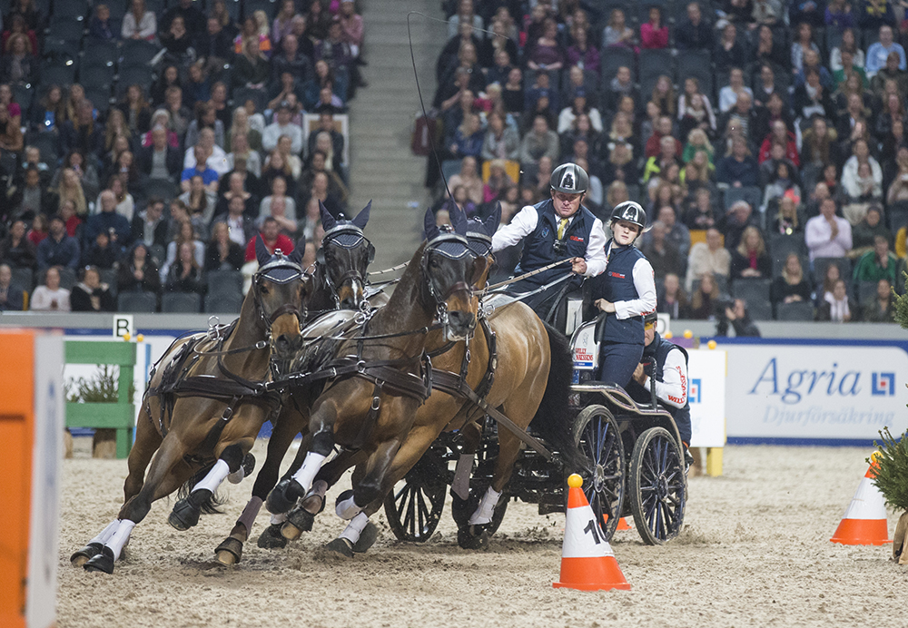 Friends Arena 161127 Boyd Exell, AUS won the Four in hand. Boyd Exell (AUS) was in a class of his own during the second leg of the FEI World Cup™ Driving season in Stockholm. © FEI / Roland Thunholm