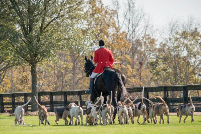 The "Festival of the Hunt" will continue on as a tradition at Tryon International Equestrian Center during the fall. ©ErikOlsenPhotography