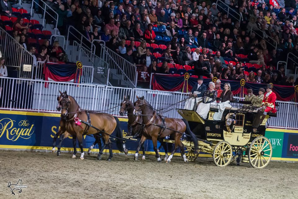 Mr. and Mrs. Harvey Waller and their Orleton Farm hitch traveled from Stockbridge, MA, to Toronto to win the Green Meadows Four-In-Hand Coaching Appointments Class at the Royal Horse Show. © Ben Radvanyi Photography