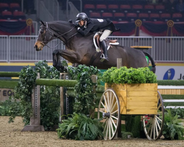 Darcy Hayes of Aurora, ON, and Say When won the $25,000 Knightwood Hunter Derby on Tuesday, November 8, at The Royal Agricultural Winter Fair. © Mackenzie Clark