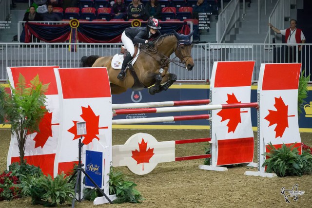 2016 Canadian Olympian Amy Millar of Perth, ON, and Heros placed second in the opening round of the $100,000 Greenhawk Canadian Show Jumping Championship on Friday, November 4, at the Royal Horse Show. © Ben Radvanyi Photography