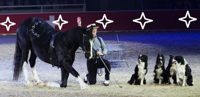 Willi Schauberger und sein tierisches Quintett sorgen in der Show bei der Mevisto Amadeus Horse Indoors für entzückende Momente. © Willi Schauberger