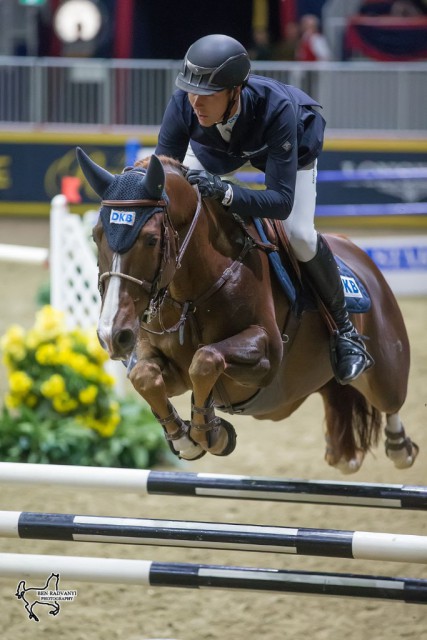 Germany’s David Will broke up the Irish domination by winning the $35,000 International Accumulator on Thursday evening riding Cento du Rouet. © Ben Radvanyi Photography