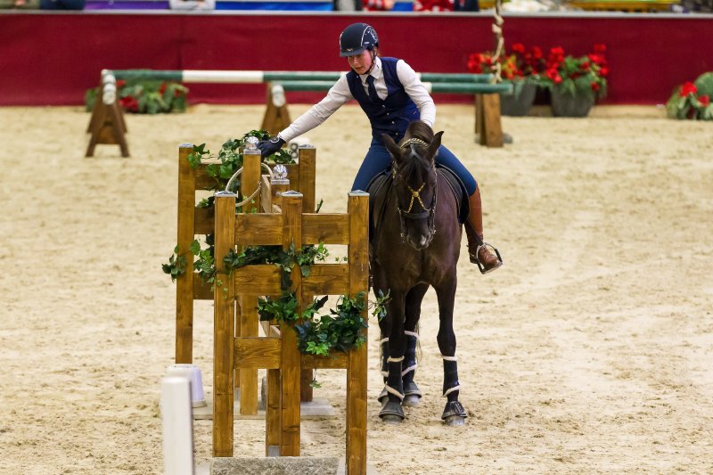 In der Working Equitation wird von Reitern und Pferden Geschicklichkeit, Harmonie und Mut gefordert - ein echtes Highlight bei der Mevisto Amadeus Horse Indoors! © Michael Graf