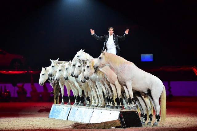 Show & Entertainment für die ganze Familie gibt's bei der Mevisto Amadeus Horse Indoors. © Daniel Kaiser