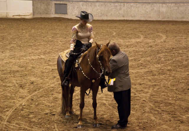 Das AQHA Rulebook 2017 ist online! © EP photo / Shutterstock.com 