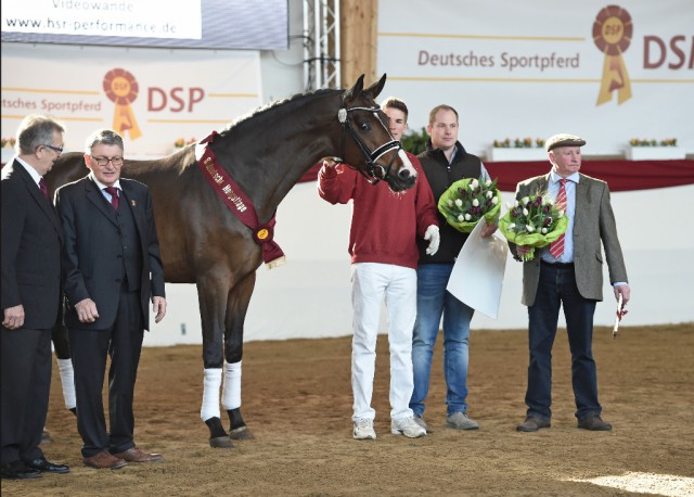 Der Prämienhengst und spätere Süddeutsche Champion DSP De Sandro mit v.li.: Dieter Doll (Vorsitzender PZV Baden-Württemberg), Karl-Heinz Bange (Vorsitzender Süddt. Pferdezuchtverbände), Vorführer und Aussteller Matthias Schepper, Aussteller Frieder Heilemann und Züchter Adolf Lembke © Hubert Fischer