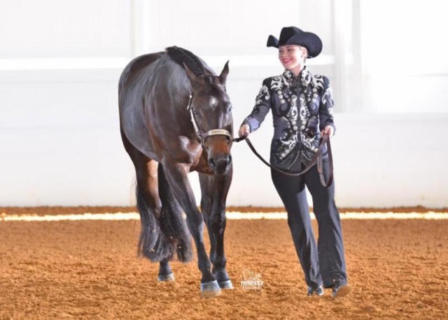 Cassidy Jensen with Chocolatey Special K in Youth Showmanship at Halter © Phelps Media Group