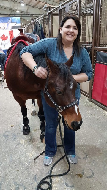 Physiotherapy for horses by Terry-Lee Sapergia. © Private