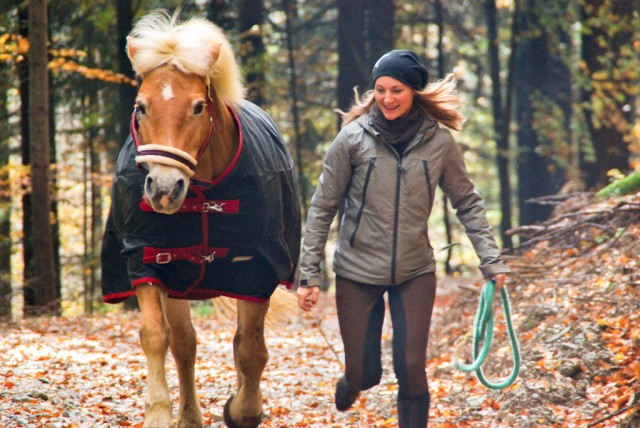 Worte, Lachen und positive Gedanken kann euer Pferd spüren! © Haflinger Austria