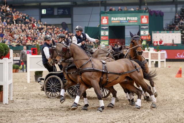 The 1st place for Boyd Exell (AUS) and his Four-in-Hand team in the FEI World Cup Driving qualification, Leipzig - Partner Pferd 2017 (Photo: FEI/Stefan Lafrentz)