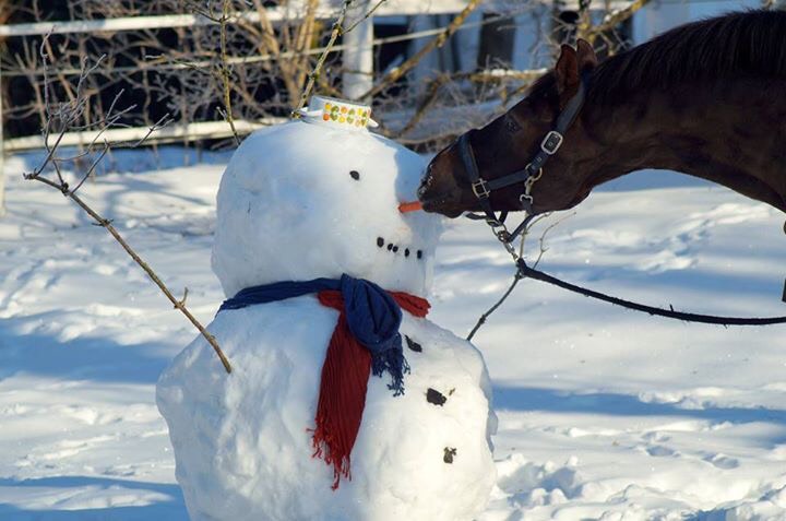 Diavolo und der Schneemann – eine Fotolovestory!