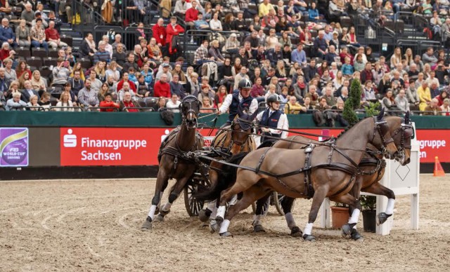 The 1st place for Boyd Exell (AUS) and his Four-in-Hand team in the FEI World Cup Driving qualification, Leipzig - Partner Pferd 2017. © FEI/Stefan Lafrentz
