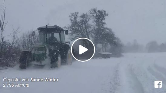 Im Reitstall Schloß Kammer wird die Winterpause etwas anders genützt. © Facebook Sanne Winter