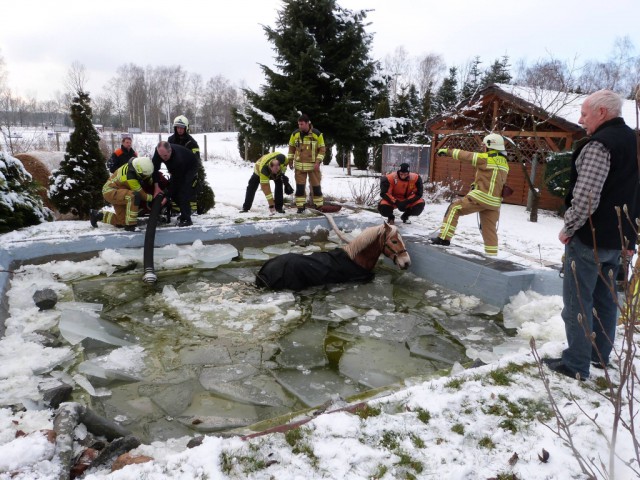 19 Mann der Cottbuser Feuerwehr arbeiteten daran, das Pferd zu befreien. © Stadt Cottbus / Facebook