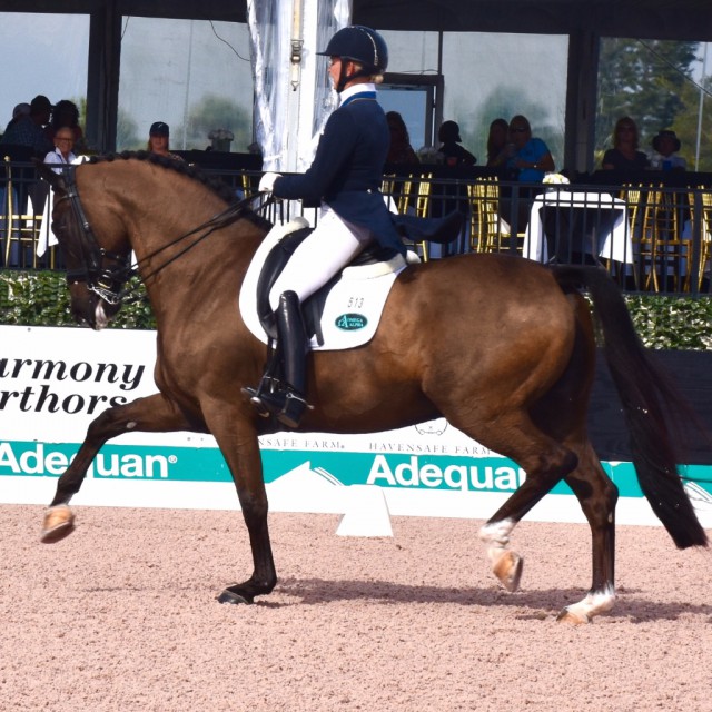 Katherine Bateson-Chandler and Alcazar performed beautifully together in the FEI Grand Prix class, scoring a 71.88%. © JRPR