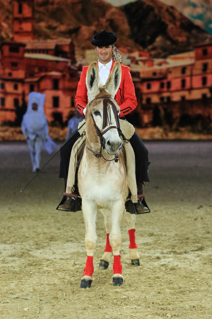 Tolle Darbietungen rund um den Pferdesport gibt es auch weiterhin auf der EQUITANA in Essen. © EQUITANA / Sven Cramer