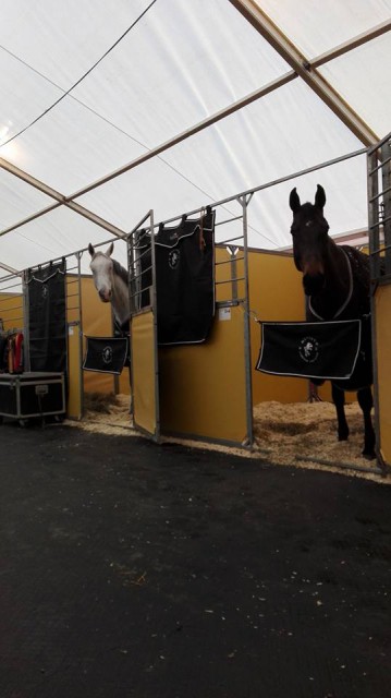 Die Pferde von Mevisto-Reiter Roland Englbrecht warten auf ihren Einsatz. © Barbara Hubner / Facebook