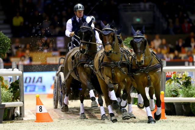 Boyd Exell was again the best driver in Bordeaux © FEI / Pierre Costabadie
