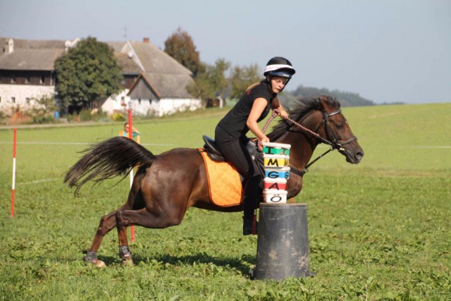 Jana Kiesehofer ist mit ihrem Pony Cindy top unterwegs. © Verena Eichhorn