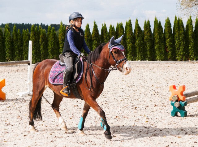 Die Persönlichkeit des Sportlers ist auch auf dem Pferd entscheidend! © scigelova / Shutterstock