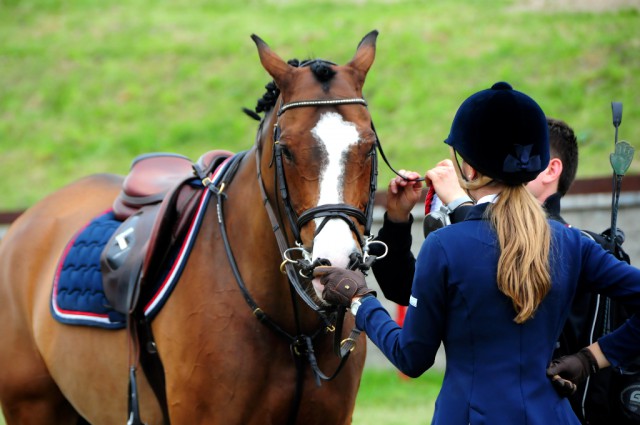 Reiten und die Arbeit mit Pferden gibt uns schon als Kindern eine sinnvolle Beschäftigung! © Tumar / Shutterstock