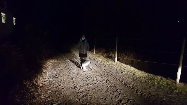 Mensch und Hund sind in der Dunkelheit nur schwer zu erkennen. © EQWO.net