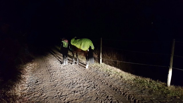 Auch wenn man sich Pferd und Reiterin im Dunkeln von hinten nähert, sind sie mit der Reflektoren-Ausrüstung gut zu erkennen. © EQWO.net