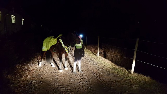Mit der Reflektoren-Ausrüstung heben sich Pferd und Reiterin deutlich von der Dunkelheit ab. © EQWO.net