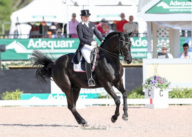 Susan Pape and Harmony's Don Noblesse. © SusanJStickle