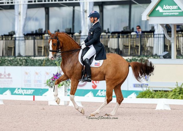 Steffen Peters and Bailarino. © SusanJStickle