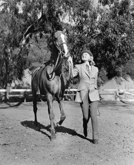 Seit 1938 hat die London Riding Horse Parade Tradition in der Hauptstadt © Symbolbild - shutterstock / Everett Collection
