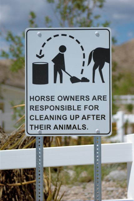 Wer riecht denn da so nach Pferdestall? © jakelv7500 / Shutterstock