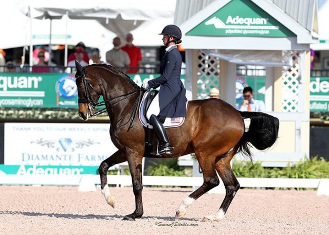 Dawn White-O'Connor and Legolas 92. © SusanJStickle