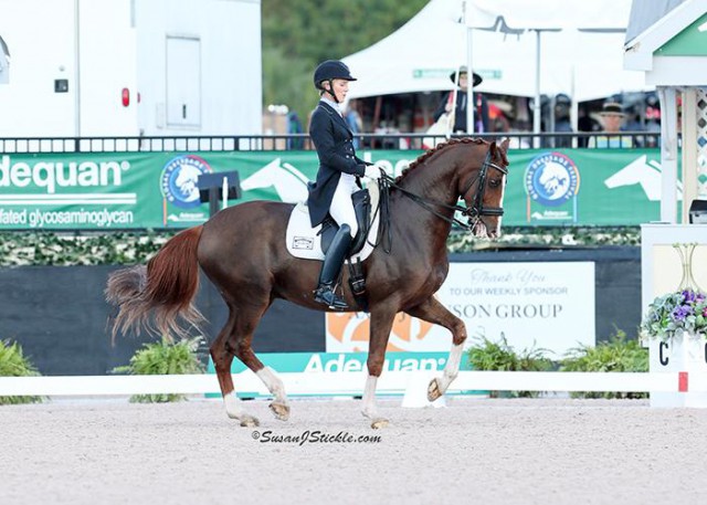 Gelungene Premiere von Arlene Page und Dr. House 2. beim 2017 Adequan® Global Dressage Festival (AGDF) in Wellington, FL. © SusanJStickle 