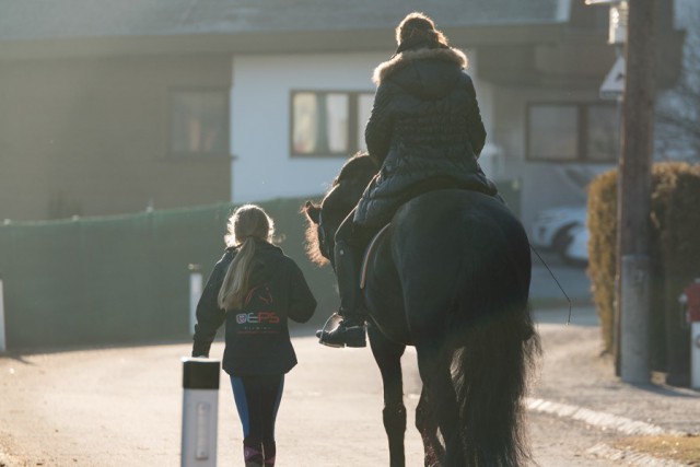 Entspanne dein Pferd und reite es für mindestens 10 Minuten trocken. © Simon Wackerle