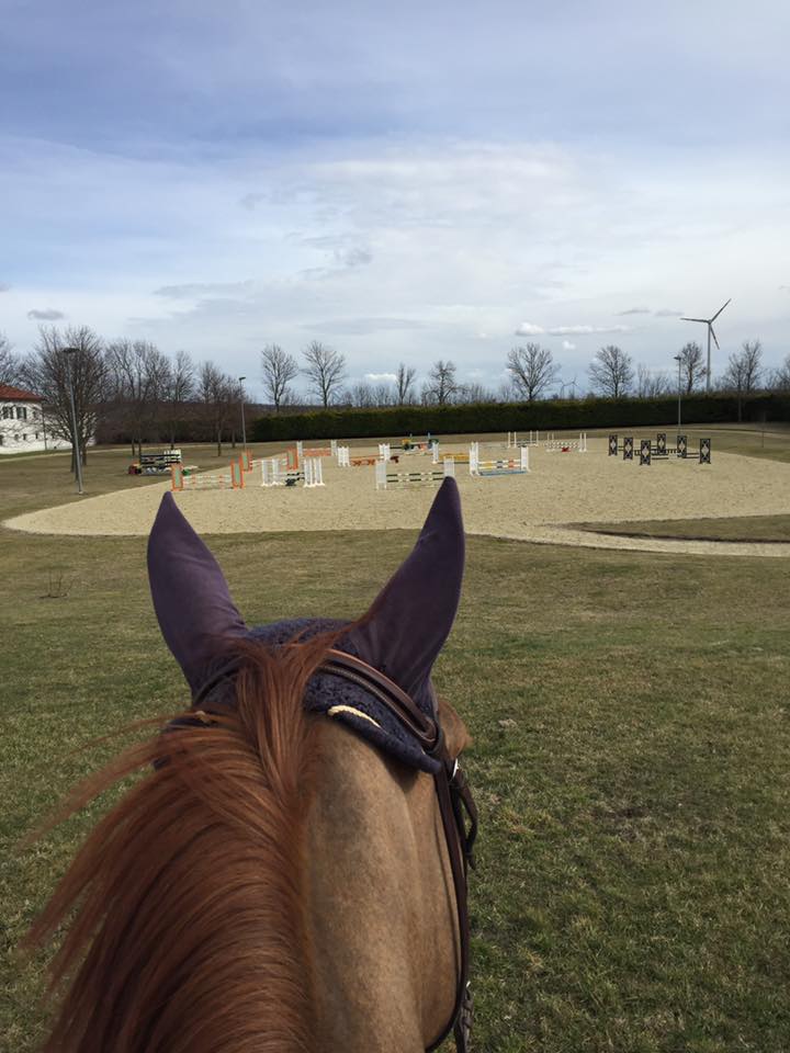 Vergangenes Wochenende war Fixkraft Teamreiterin Stefanie Bistan am Turnier erfolgreiche, diese Woche wird zu Hause in Gallbrunn felißig trainiert. © facebook Stefanie Bistan