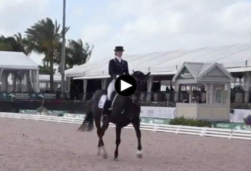 Click here to watch the winning freestyle ride for Tina Irwin and Laurencio.