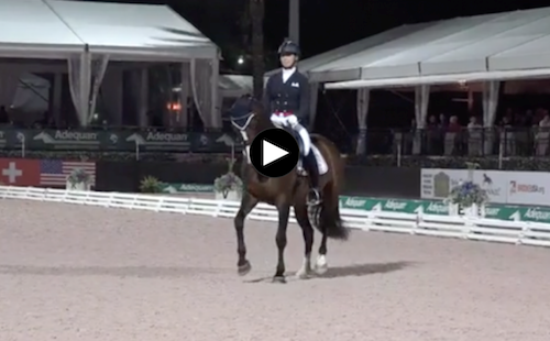 Watch the winning freestyle ride for Megan Lane and Caravella!