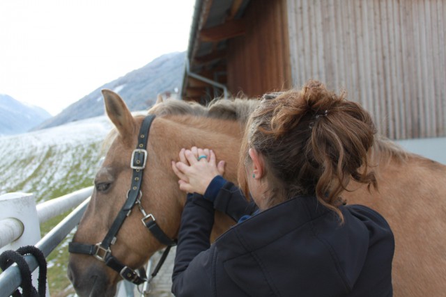 Regelmässige Massagen können den Zustand eures Pferdes verbessern. © Adrienne Tomkinson